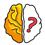 صورة Brain Out