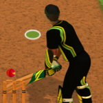 صورة Cricket Batter Challenge