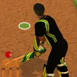 صورة Cricket Batter Challenge