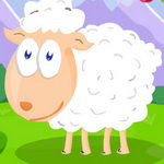 صورة Feed The Sheep