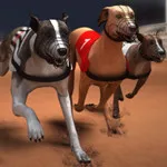 صورة Greyhound Racing