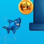 صورة Jumpy Shark