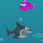 صورة Mad Shark