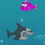 صورة Mad Shark