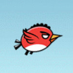 صورة Mildly Infuriated Bird