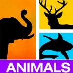 صورة Mina Quiz