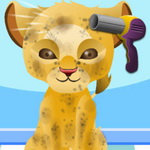 صورة My Pet Spa