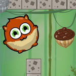 صورة Nuts For Winter
