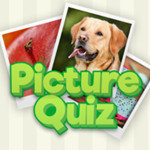 صورة Picture Quiz