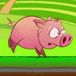 صورة Pink Running Pig
