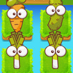 صورة Plant Evolution