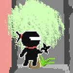 صورة Rock Ninja
