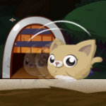 صورة Rolling Cat