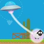 صورة Sheep