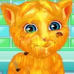 صورة Talking Ginger Shaving