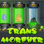صورة Transmorpher 1
