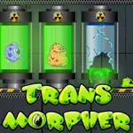 صورة Transmorpher 1